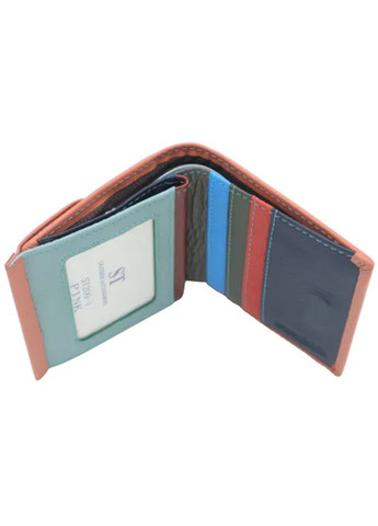 Жіночий шкіряний гаманець на магніті ST 209-1 (276972898)