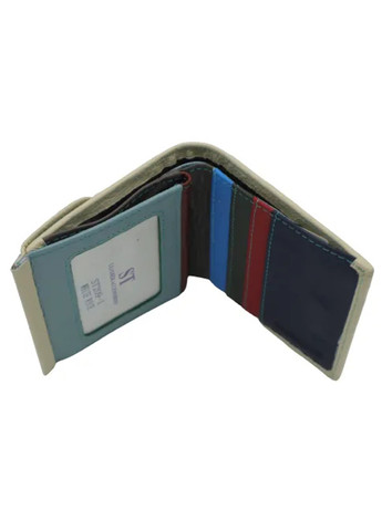 Жіночий шкіряний гаманець на магніті ST 209-1 (276972891)