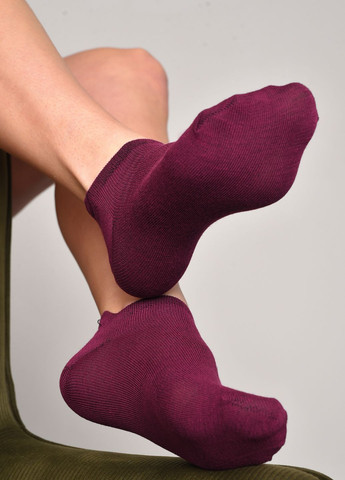 Шкарпетки жіночі спортивні бордового кольору розмір 36-40 Let's Shop (277983298)