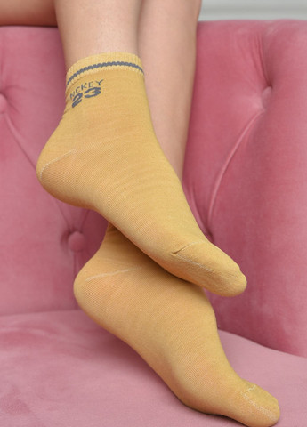 Шкарпетки жіночі стрейч гірчичного кольору розмір 36-41 Let's Shop (271665130)