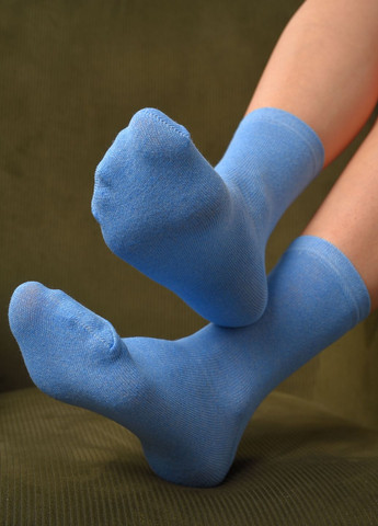 Шкарпетки жіночі демісезонні блакитного кольору розмір 36-40 Let's Shop (277983339)