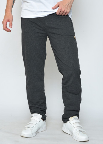 Спортивні штани чоловічі сірого кольору Let's Shop (259749571)