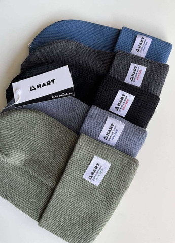 Шапка для мальчика Размер 52-56 (one size) cеро-голубая 127027 HART (265212189)