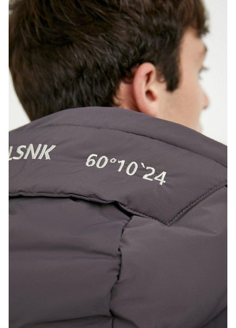 Серая зимняя зимняя куртка a20-22001-202 Finn Flare
