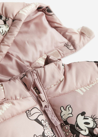 Рожева демісезонна курточка для дівчинки H&M