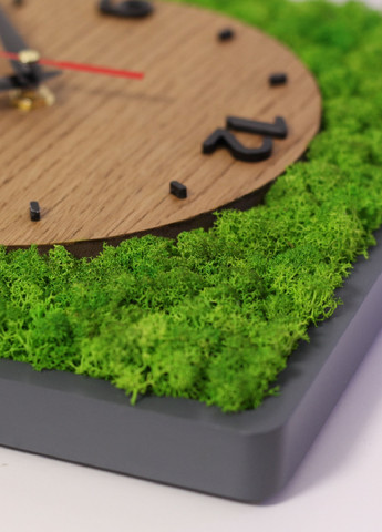 Часы настенные стильные практичные универсальные со стабилизированным мхом из дерева 40х40х4 см (475770-Prob) Серые Unbranded (271124276)