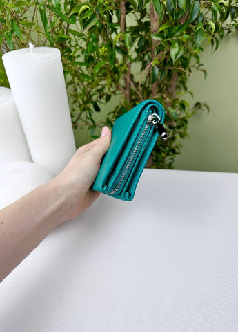 Жіночий невеликий однотонний гаманець на магниті Saralyn (268221987)