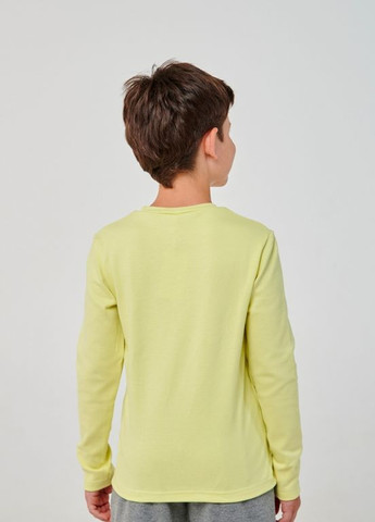 Салатовая футболка с длинным рукавом салатовый Smil