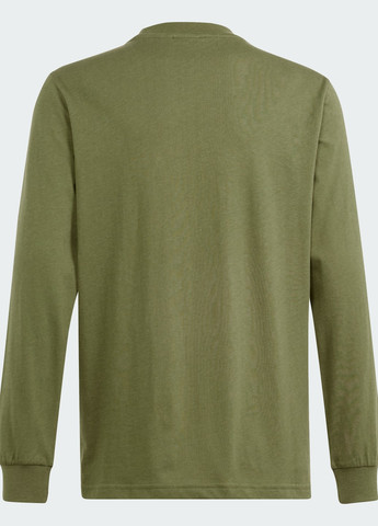 Зеленая демисезонная лонгслив graphic adidas