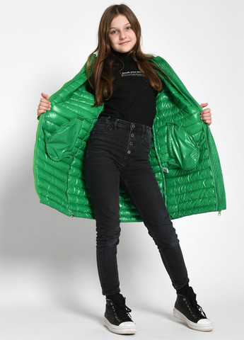 Зелена демісезонна куртка X-Woyz