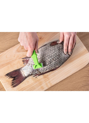 Рибочистка шкребок для рибної луски із пластиковою ручкою 15.5 см Kitchette (260567609)