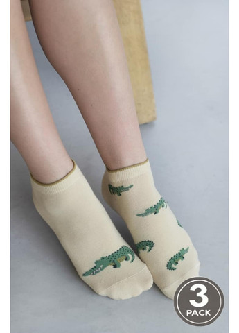 Шкарпетки жіночі бавовняні 120 SOCKS LOW (3 пари) Legs (258630872)