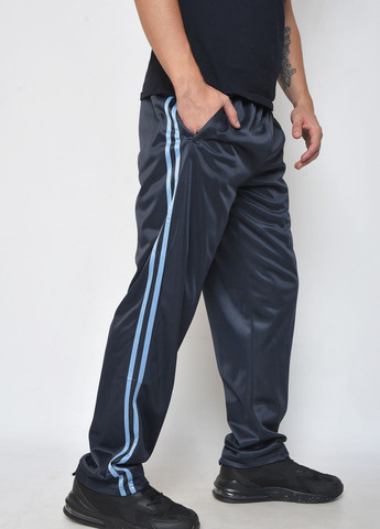 Спортивні штани чоловічі темно-синього кольору Let's Shop (264826471)