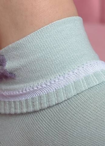 Шкарпетки жіночі стрейч м`ятного кольору розмір 36-41 Let's Shop (271665149)