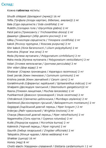 Shiva Gutika 100 Tabs Vyas (265624079)