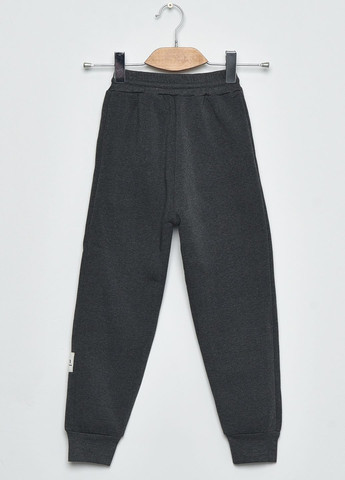 Спортивні штани дитячі для хлопчика на флісі сірого кольору Let's Shop (270364845)