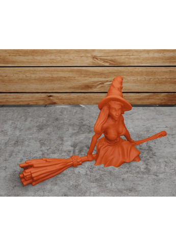 Ведьма на метле. ЗаСвіт (266425194)