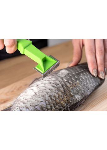 Рыбочистка скребок для рыбной чешуи с пластиковой ручкой 15.5 см Kitchette (260567609)