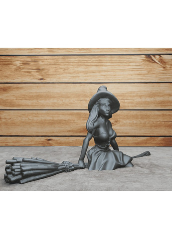 Ведьма на метле. ЗаСвіт (266425370)