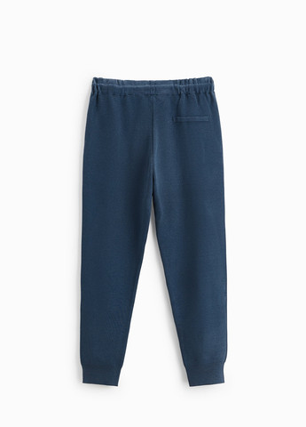 Синие спортивные демисезонные брюки Zara
