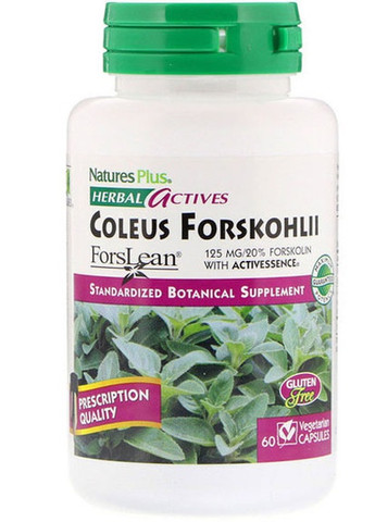 Nature's Plus Herbal Actives, Coleus Forskohlii 125 mg 60 Veg Caps NAP-07170 Natures Plus (257079429)