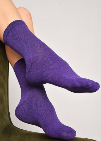 Носки женские демисезонные фиолетового цвета размер 36-40 Let's Shop (277983308)