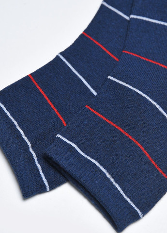 Шкарпетки жіночі демісезонні синього кольору Let's Shop (273176753)