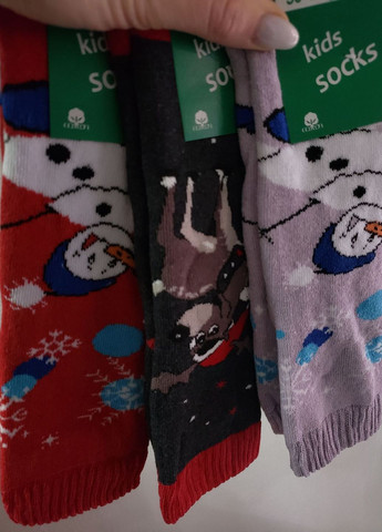 Набір шкарпеток дитячих махрових No Brand (276267473)