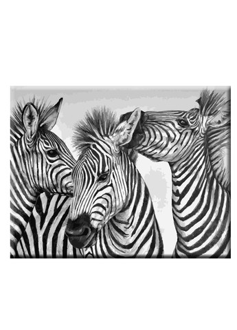 Картина по номерам Три зебры 40*50см ArtStory (258819669)