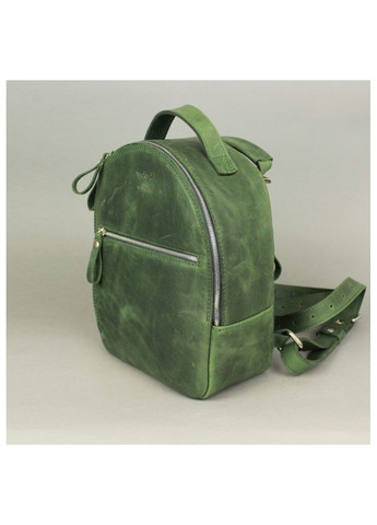 Женский рюкзак из натуральной кожи Groove S зеленый винтажный TW-GROOVE-S-GREEN-CRZ The Wings (263519086)