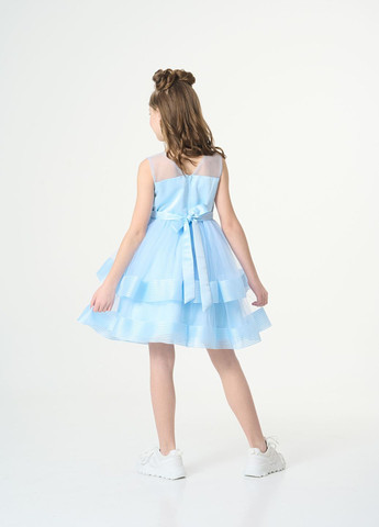 Блакитна блакитна ошатна сукня з двома ярусами фатину Yumster (260391050)