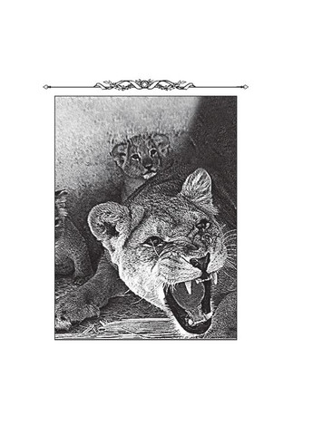 Весела наука Фоліо (370059051)