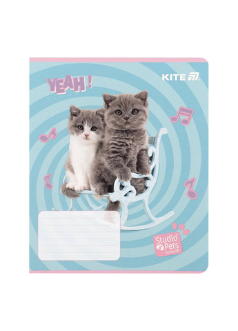 Зошит шкільний на 12 аркушів колір різнокольоровий CB-00281152 Kite (343413392)