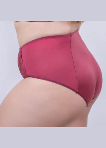 Трусы с высокой линией талии Elita (304288096)