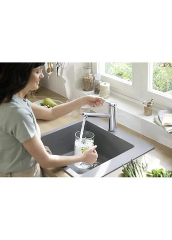 Смеситель для кухонной мойки Zesis M33 74802000 Hansgrohe (314931338)