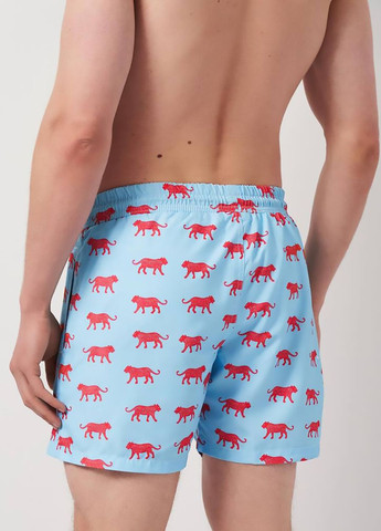 Шорти Granz (298005986)