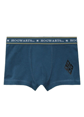 Кролики боксеры набор 2 шт Гарри Поттер детские на мальчика, синие, серые Pepperts (333333876)