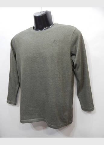 Оливковый демисезонный повседневный лонгслив Aeropostale однотонный