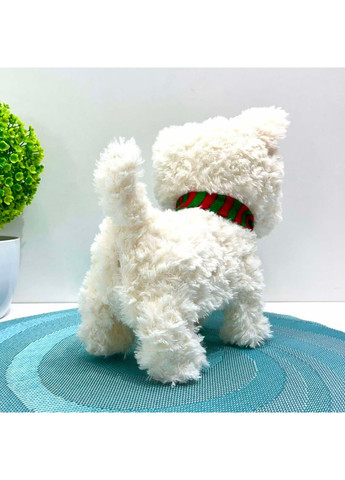 Інтерактивна іграшка No Brand (363263533)