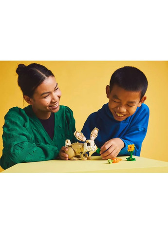 Конструктор Creator 3 v 1 Чарівне кроленя, 326 деталей () Lego 31162 (361019965)