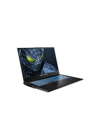 Ноутбук (m488547) Dream Machines RG5050-17 (369016899)