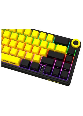 Клавиатура KBP70MW Pro RGB Wireless/Bluetooth/USB UA Black/Yellow (LRG-KBP70MW-YL-US) LORGAR KBP70MW Pro RGB Wireless/Bluetooth/USB UA Black/ye (364660355)