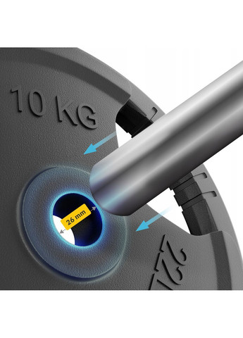 Диск металевий 2 x 10 кг 26 мм Black (P-5905973401388) 4FIZJO (372925201)