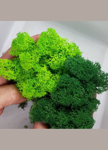Стабілізований мох ягель Зелений трав'яний світлий 0,5 кг Nordic moss (276401031)