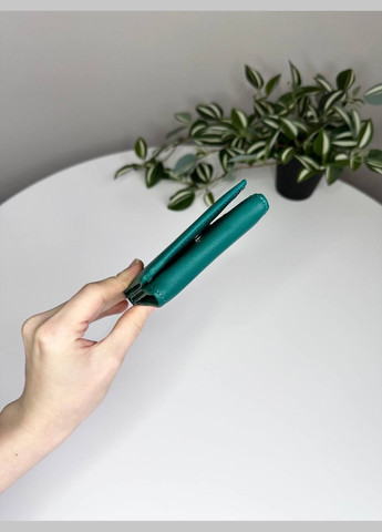 Жіночий гаманець на кнопці з євромонетницею Saralyn (294983637)