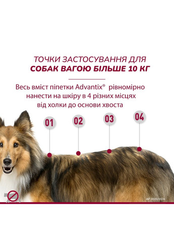 Краплі інсектоакарицидні Advantix для собак вагою понад 25 кг ЦІНА ЗА 1 ШТ Elanco (289533774)