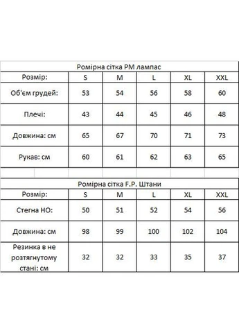 Костюм PM: кофта штаны 2 пары носков в подарок! No Brand (401045973)