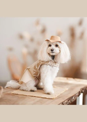 Панама Ava для собак (*) Pet Fashion (323481502)