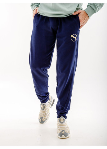 Синие спортивные демисезонные брюки Puma