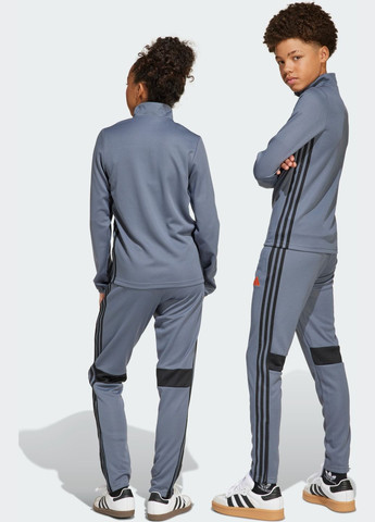 Комбинированные спортивные демисезонные брюки adidas